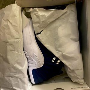 Jordan retro indigo 12s